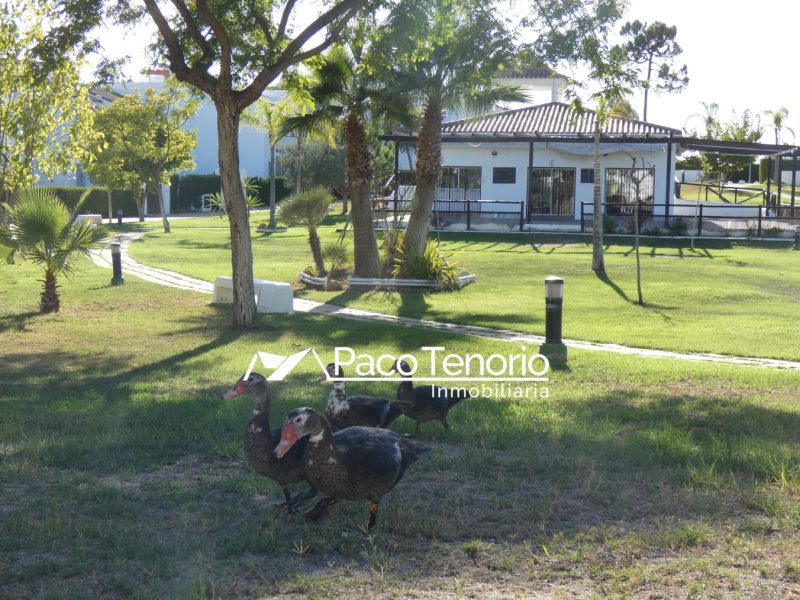 venta adosado en islantilla hacienda golf venta inmobiliaria paco tenorio (25)