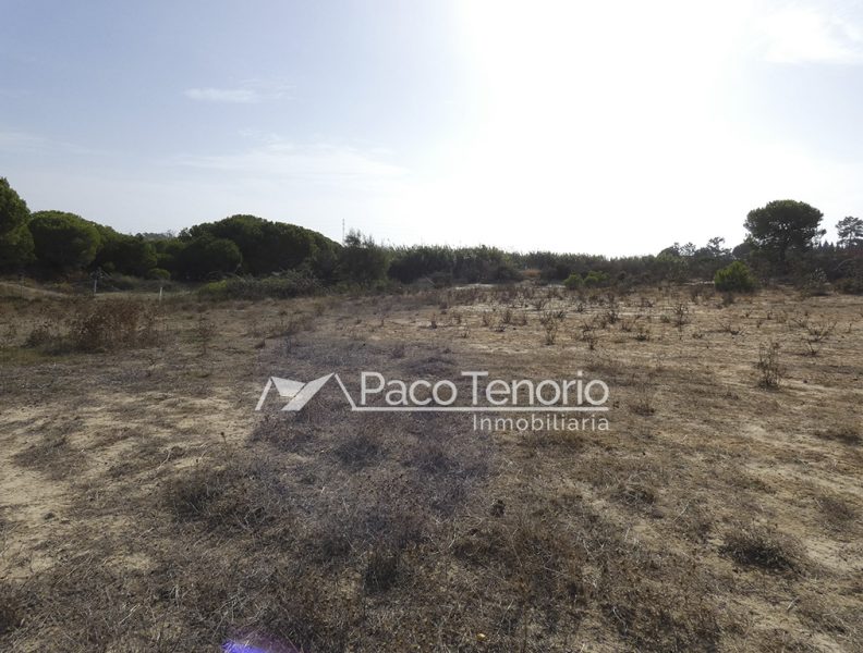 venta finca con casa en lepe las palmeritas inmobiliaria paco tenorio (12)