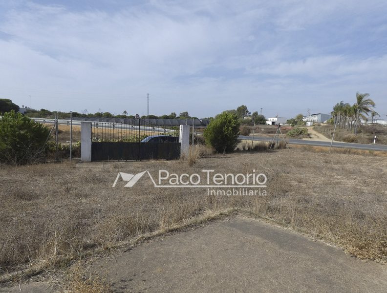 venta finca con casa en lepe las palmeritas inmobiliaria paco tenorio (3) - copia